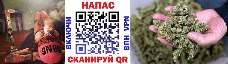 Виды наркоты Георгиевск Alpha-PVP Кокаин Меф Псилоцибиновые грибы Бошки Шишки