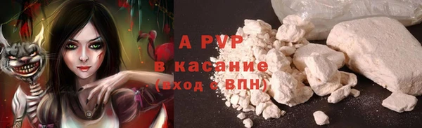 винт Арсеньев