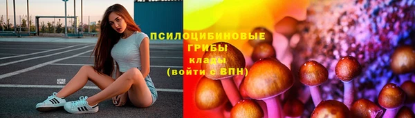 прущий лед Аркадак