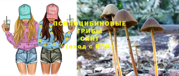 винт Арсеньев