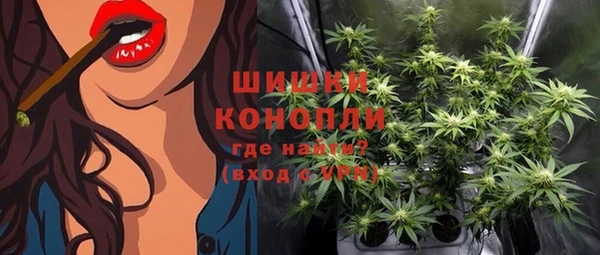 винт Арсеньев