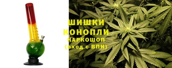 PSILOCYBIN Армянск